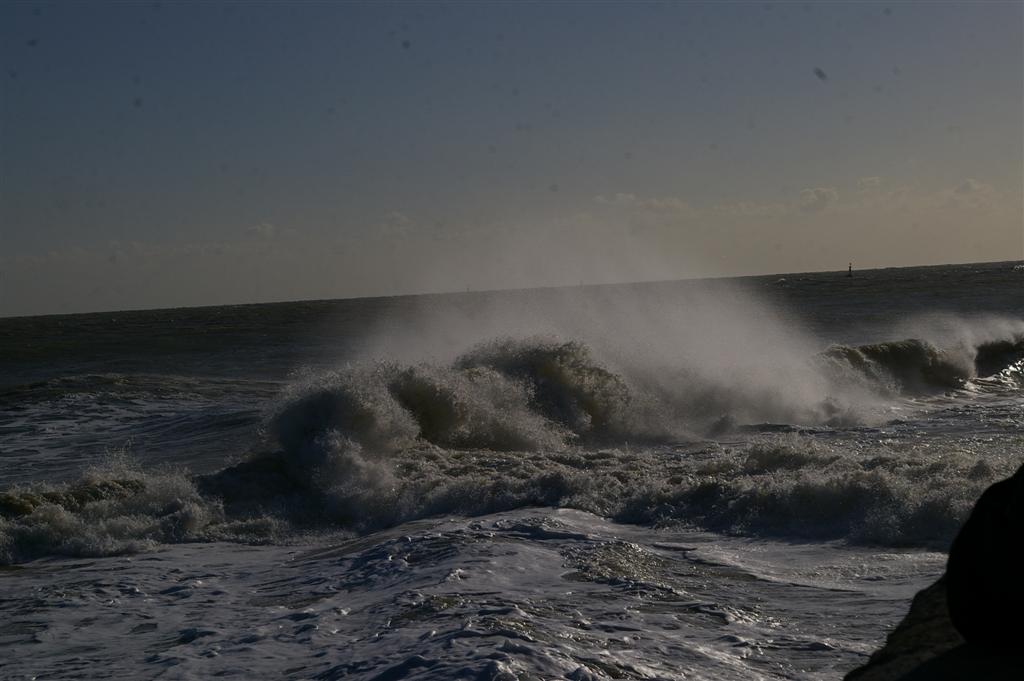 exspected tidal surge from cindy exspected tidal surge from cindy